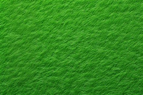 Green background lawn backgrounds texture. | Premium Photo - rawpixel