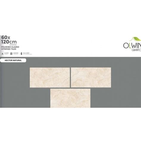 Olwin Granito Ceramic Hector Natural Polished Glazed Vitrified Tile