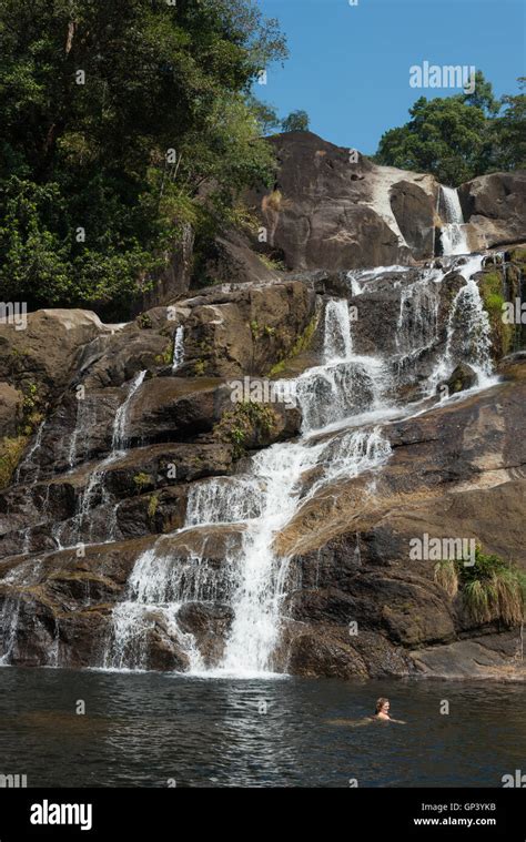 Neyyar Wildlife Sanctuary, Neyyar Dam, Kerala, India Stock Photo - Alamy