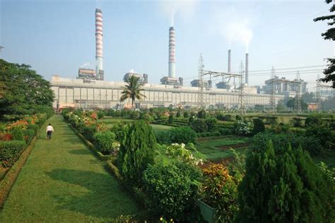 Ntpc Seeks Bids For Procurement Of Biomass Pellets To Co Fire Thermal