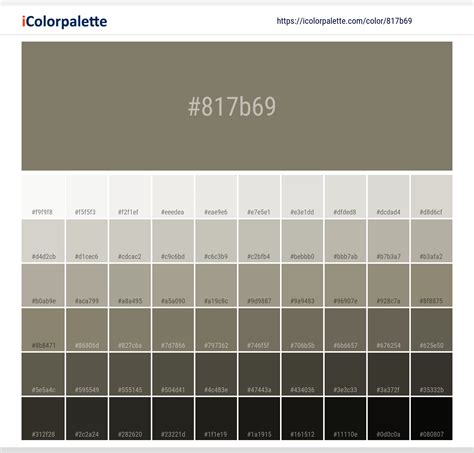 Willow Grey Color | 817b69 information | Hsl | Rgb | Pantone