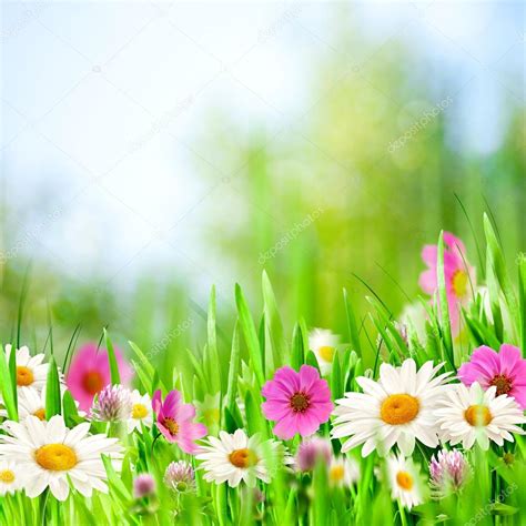 Beauty meadow. Abstract natural backgrounds for your design Stock Photo ...