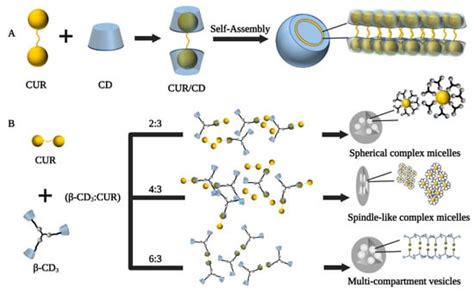 Curcumincyclodextrin Supramolecular System Encyclopedia Mdpi