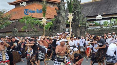 Ikuti Tradisi Perang Tipat Bantal Partha Wijaya Sebut Ritual Ini