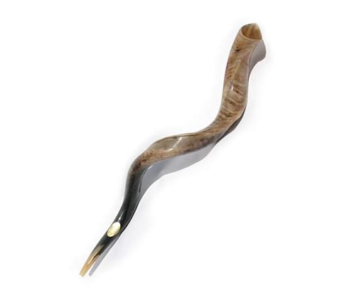 High Quality Yemenite Shofar Kosher Horn - Polished | aJudaica.com