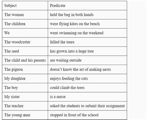 subject  predicate worksheet  class  ncert guidescom
