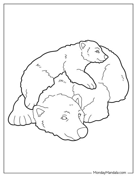 30 Bear Coloring Pages Free Pdf Printables