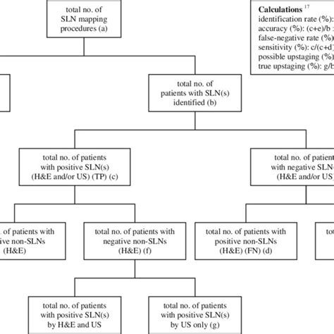 Flowchart Sln Sentinel Lymph Node Us Ultrastaging Multisectioning