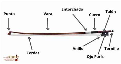 El Arco Del Violin Sus Partes De Qu Est Hecho