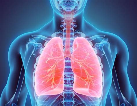 How to Improve Lung Function: 3 Ways and 4 Simple Exercises | The Epoch ...