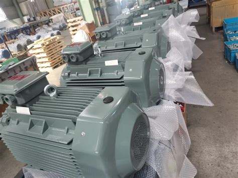 Wnm Motor Ye Series Three Phase Induction Motor Ie China Electric