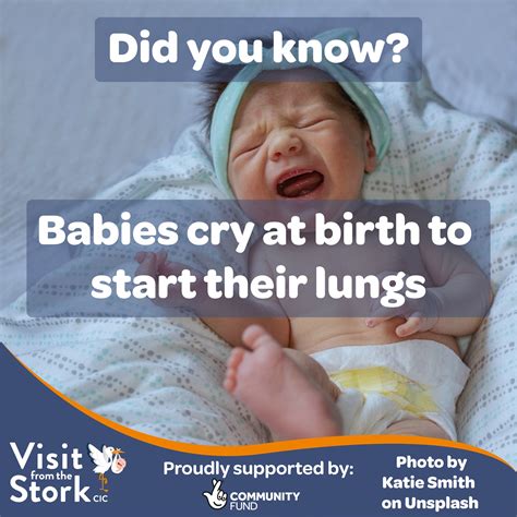 The sound of a baby crying... - Visit from the Stork CIC