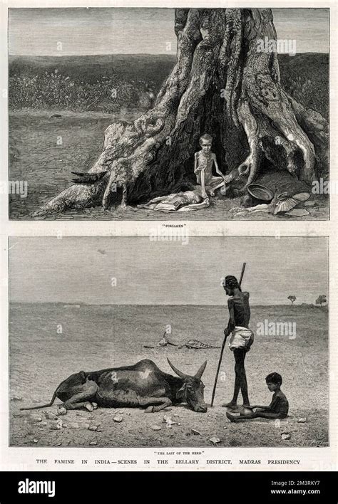 Horrendous Photos Of The Great Madras Famine Of 1876 78 42 OFF