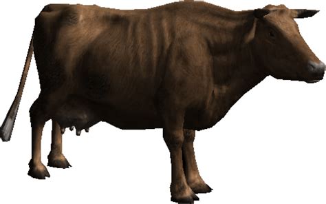 Cattle PNG Clipart - PNG All | PNG All