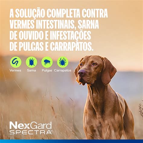 Nexgard Spectra para Cães de 7 6 a 15Kg 1 Comprimido Boehringer