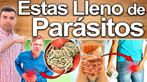 No Ignores Estos Síntomas De Parásitos En Tu Intestino Puedes Tener Gusanos En Estómago Cólon