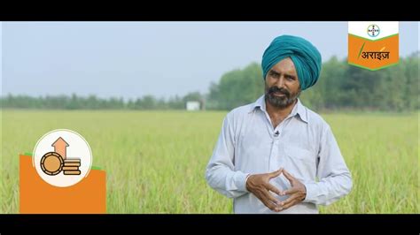 Sukhbir Singhs Rice Crop Testimonial Mastering Dsr Technique With