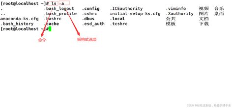 Linux的命令——“cd”（内附linux命令格式，相对路径和绝对路径）linux Cd 路径 Csdn博客