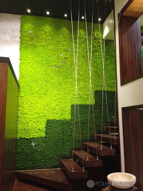 Diy Moss Ideas 12 Moss Wall Art And Inspiration