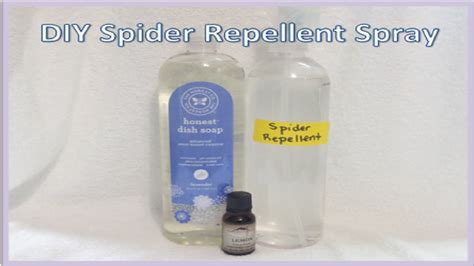 Diy Spider Repellent Spray Youtube