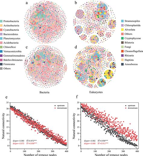 Co Occurrence Networks And Robustness Analysis Of The Planktonic