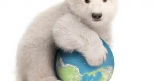 cestfranc  octobre la journee mondiale des animaux