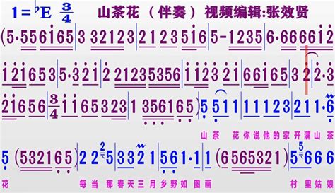 【张效贤爱音乐】伴奏be调《山茶花》的同步动态简谱 2万粉丝1万作品热议中音乐视频 免费在线观看 爱奇艺