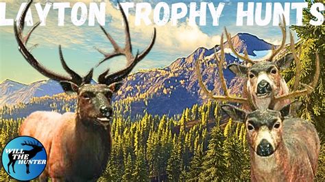 Layton Lakes Trophy Hunts Diamond Roosevelt Elk Piebald Blacktail