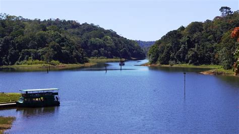 Comprehensive Guide to Periyar National Park - Travel Destination Club