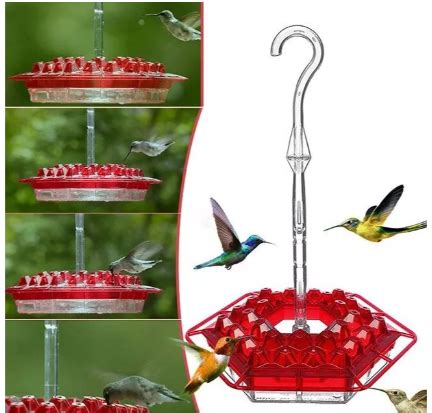 Ant Proof Hummingbird Feeder Outdoor Hanging Perch – Reinsho