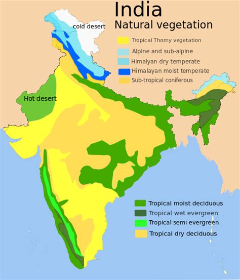 India Vegetation Map