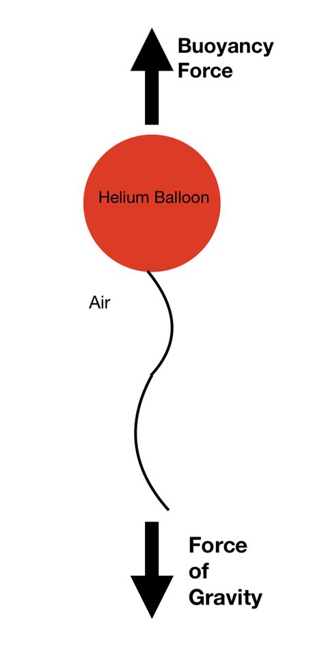 Helium Balloon Falls in a Vacuum | UCSC Physics Demonstration Room