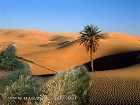 What Changed The Green Sahara Into A Desert? | MessageToEagle.com