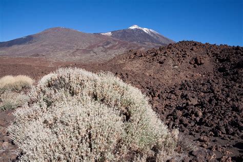 Teide Volcano Mountain - Free photo on Pixabay - Pixabay