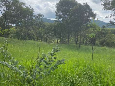 Ch Cara S Tio Na Rua Prefeiro Alcides Cunha Jardim Leme Juatuba