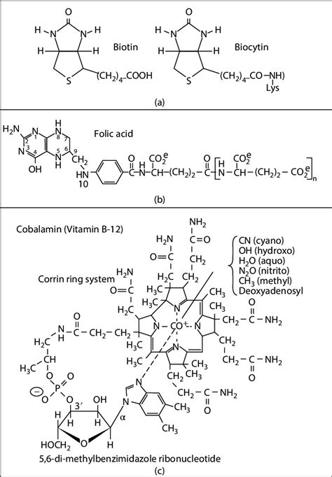 16 Structures For A Biotin And Biocytin B Folic Acid And C