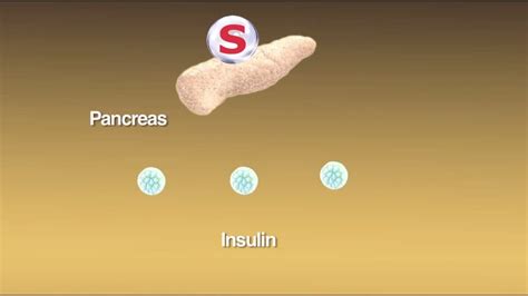 Sulfonylureas: What Are They and How Do They Work? - YouTube