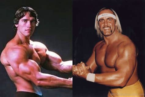 Hulk Hogan Bodybuilding