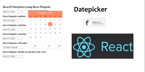 ReactJS Datepicker Using React Flatpickr Tutorial101