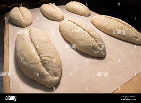 A Close Up Of Razor Cut Uncooked Loaf Of Bread Loafs Of Dough Before