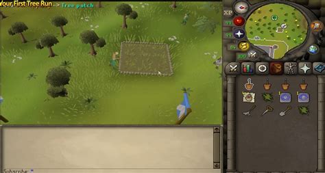 Complete Tree Farming Guide for OSRS - Tree Run Guide