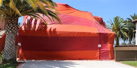 What is Tent Fumigation? See Top Frequently Asked Questions & Answers ...