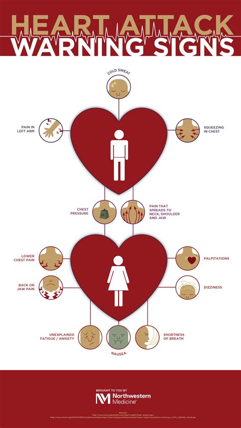 Heart Attack Signs In Men And Women Northwestern Medicine