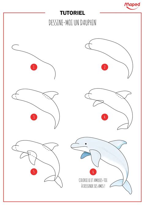 Пошаговая Инструкция Как Нарисовать Реалистичного Дельфина Рисунки