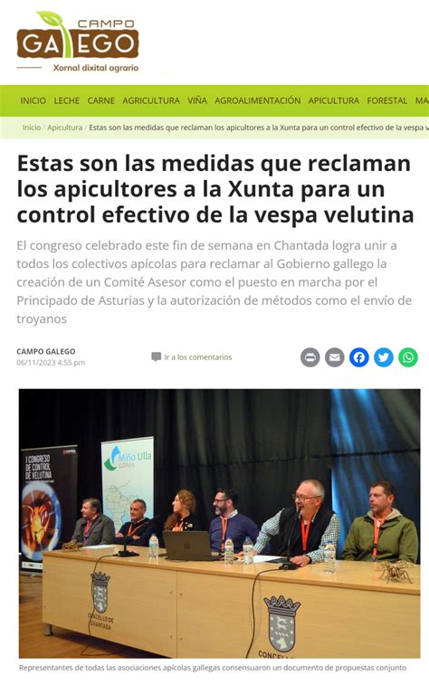 Estas Son Las Medidas Que Reclaman Los Apicultores A La Xunta Para Un