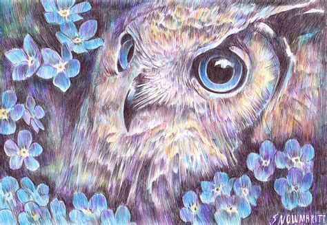 Night Owl by snowmarite on DeviantArt