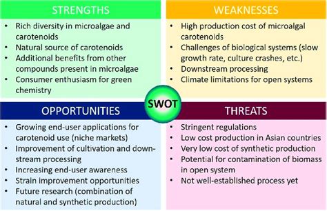 IT Cosmetics SWOT Analysis 2024 L Oréal Group Business SWOT Analysis