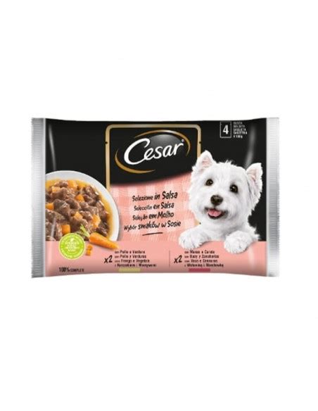 Cesar Cane Umido Delizie Del Giorno Multipack In Salsa 4x100 Gr