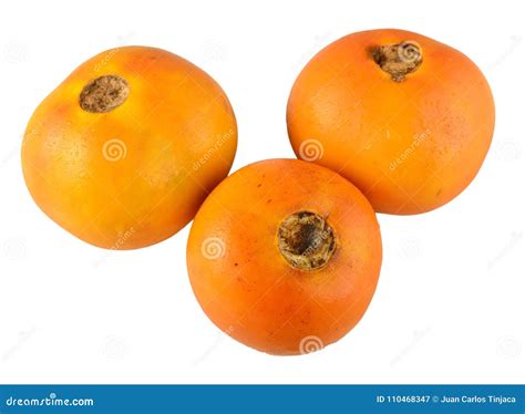 Lulo fruit. stock image. Image of colombia, freshness - 110468347