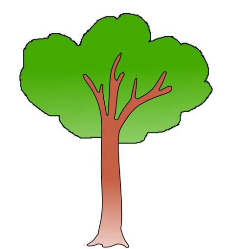 Drawing Public Domain Tree S Leaf Branch Png Pngegg Clip Art Library